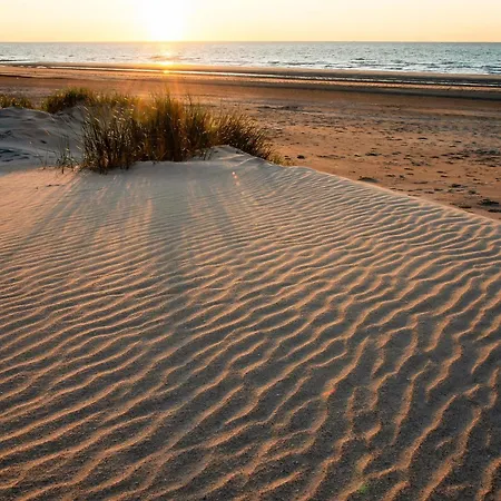 With 2 Bedrooms And 2 Bathrooms Apartment